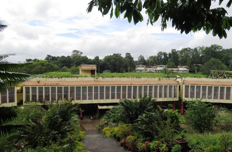 Jawaharlal Nehru Tropical Botanic Garden and Research Institute, Thiruvananthapuram, Kerala, India